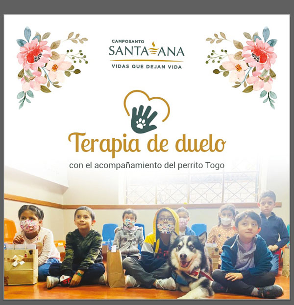 CAMPSANA_img_Programas_TerapiaAnimales_01 CAMPSANA_img_Programas_TerapiaAnimales_01