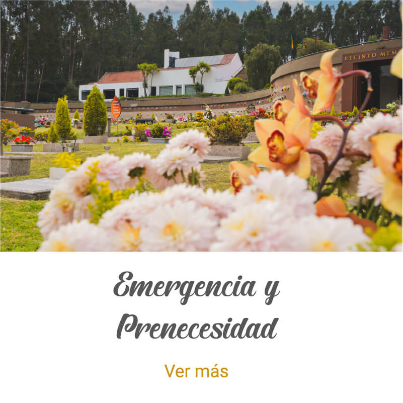 carrusel-servicios-emergencia-y-prenecesidad