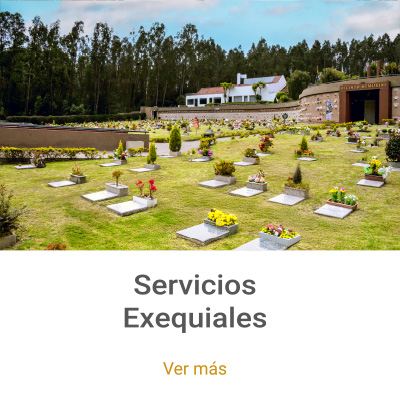 servicios-home-02