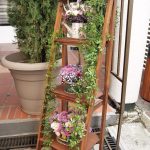 CAMPSANA_img_Evento_2026_DiaDeLaMadre_11